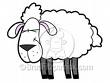 Sheep Icon!